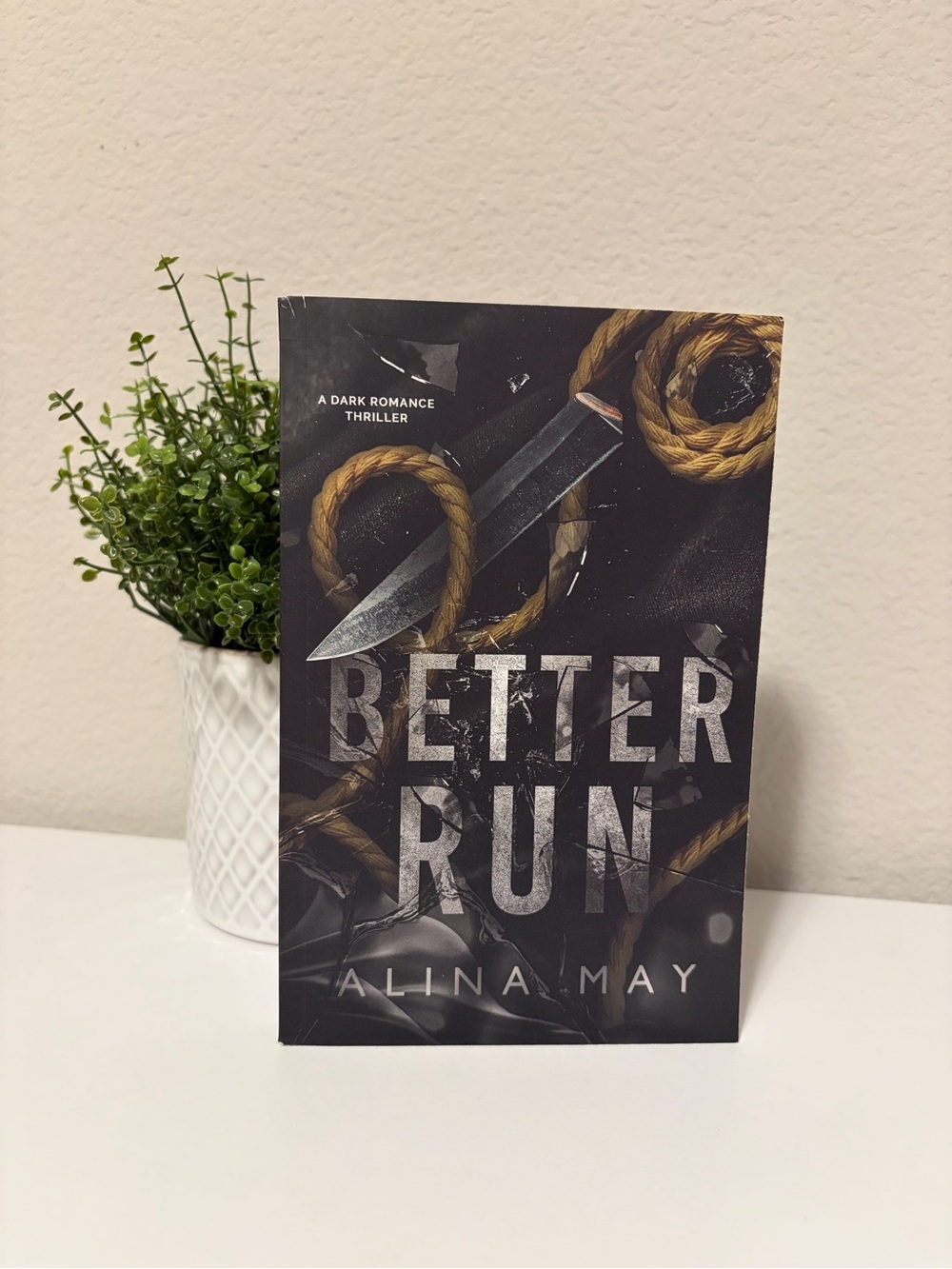 Better Run by Alina May - OOP Cover